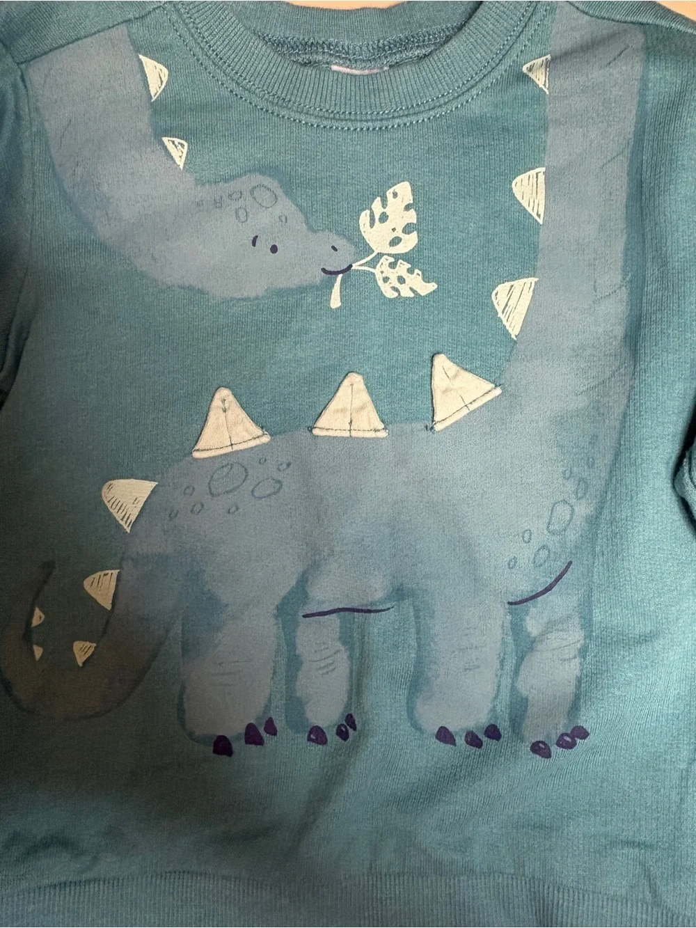 Teal Kids Dinosaur Sweatshirt